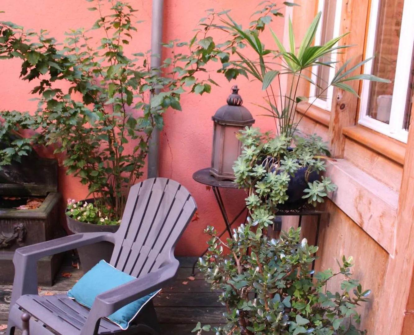 Bed & Breakfast Bed and Breakfast Ombre Rose Le Fousseret