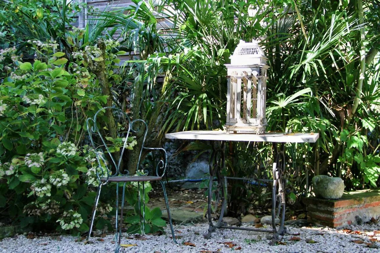 Bed and Breakfast Ombre Rose Le Fousseret