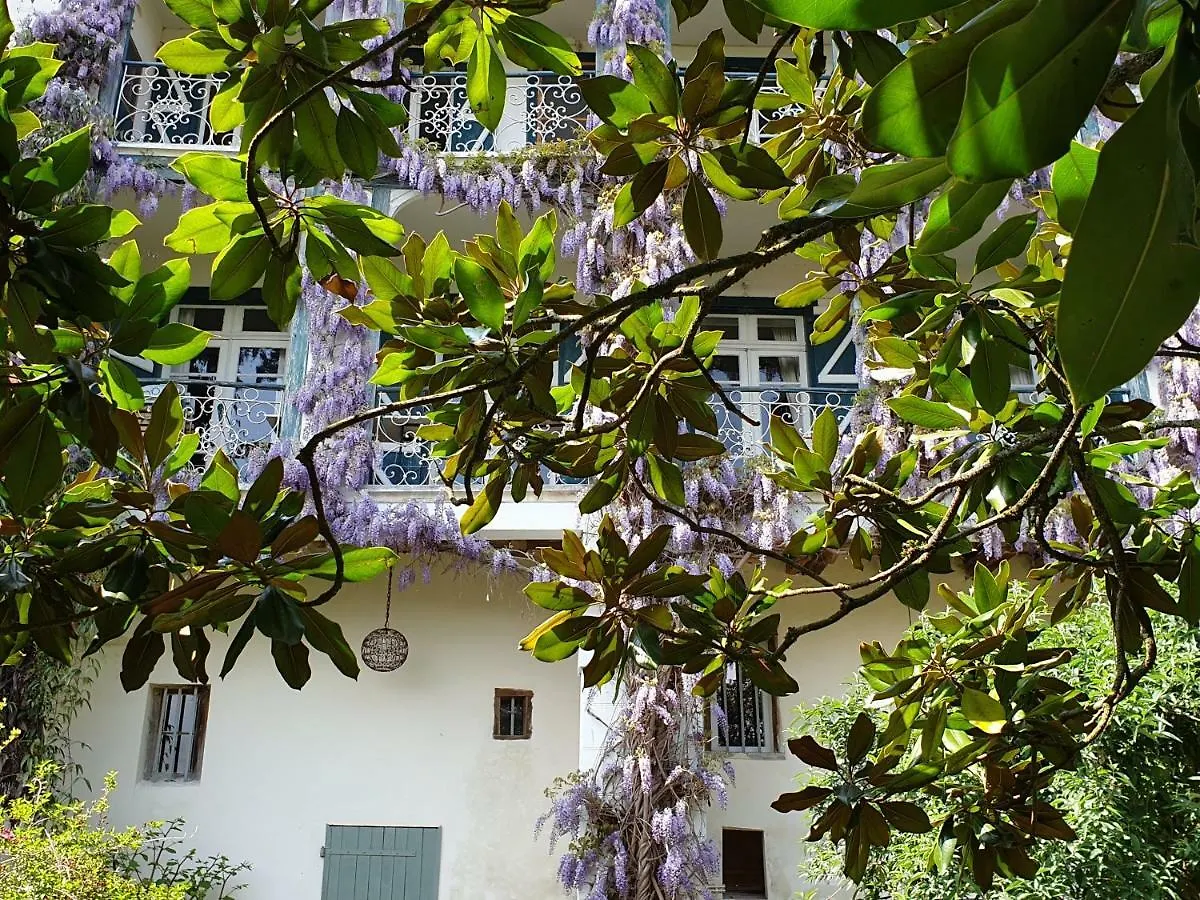 Bed and Breakfast Ombre Rose Le Fousseret Francia