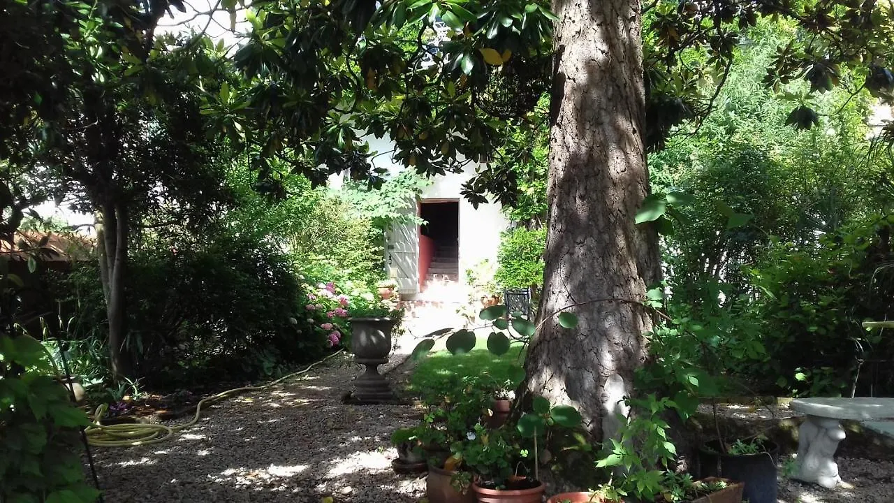 Bed and Breakfast Ombre Rose Le Fousseret